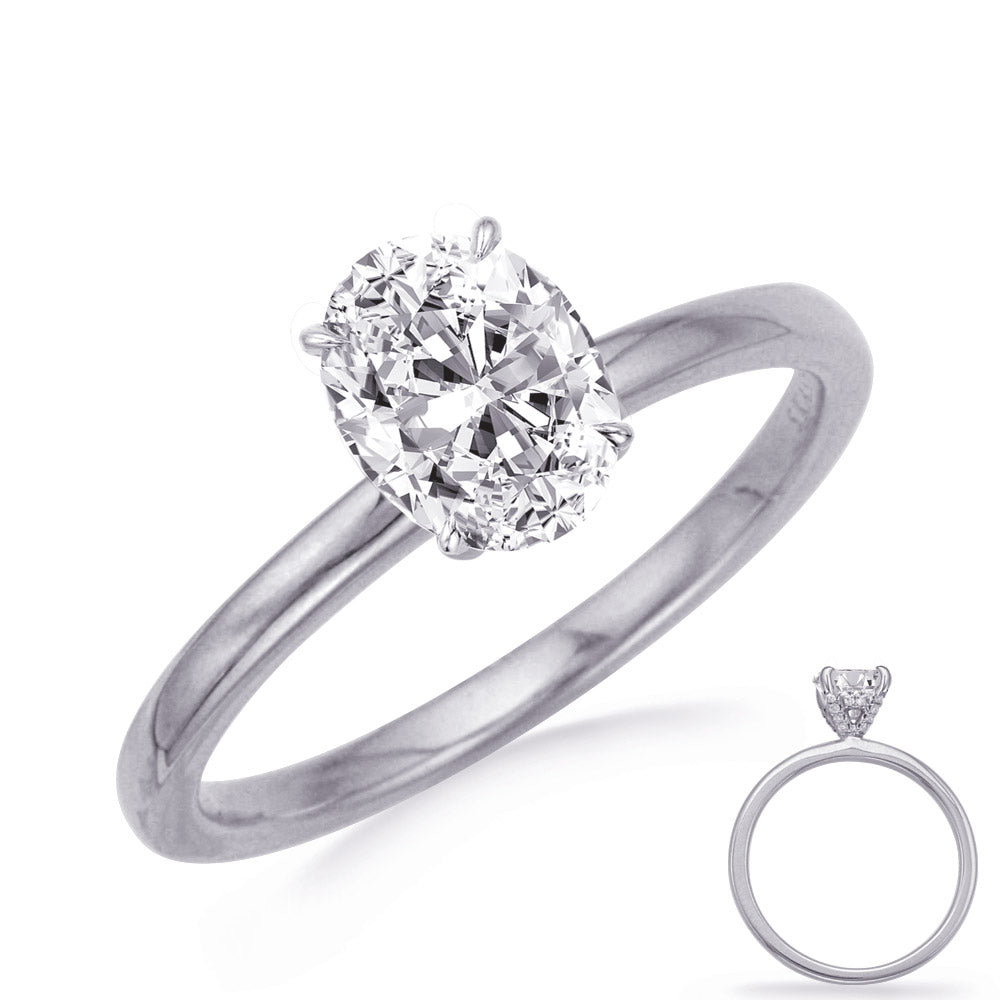 14K White Gold Engagement Ring with .06ctw of Diamonds on Basket