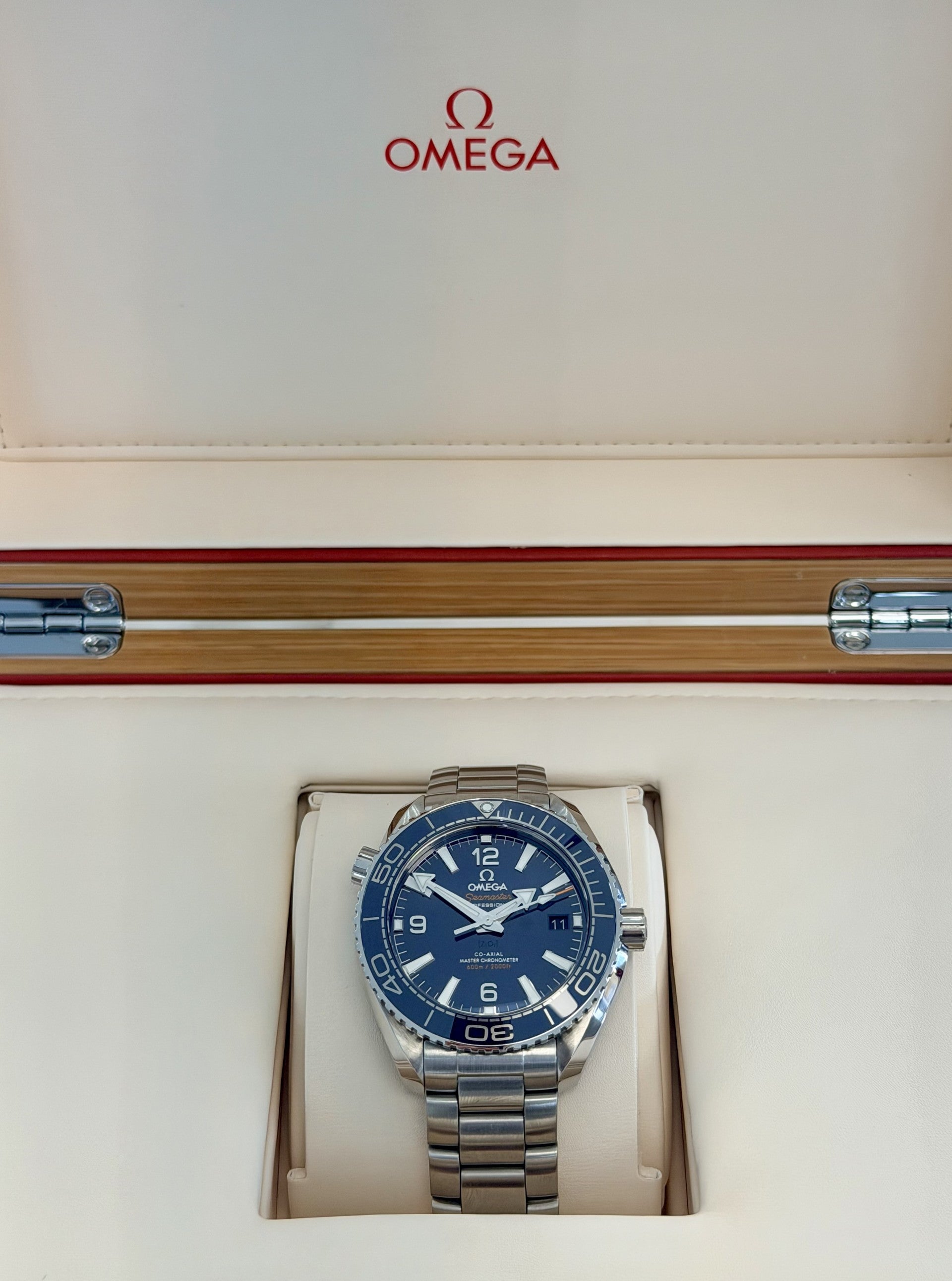 Omega Seamaster Planet Ocean 600M