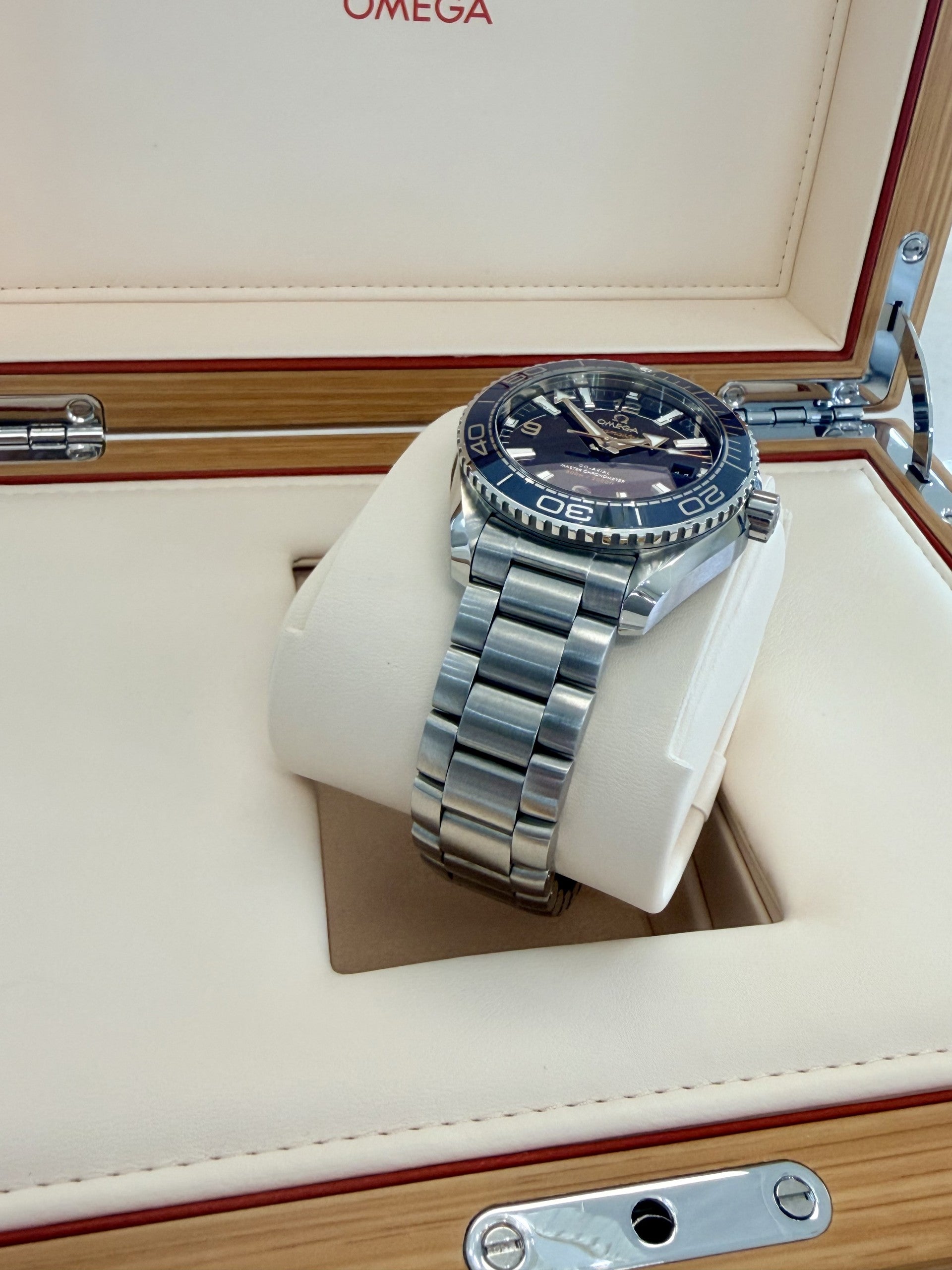 Omega Seamaster Planet Ocean 600M
