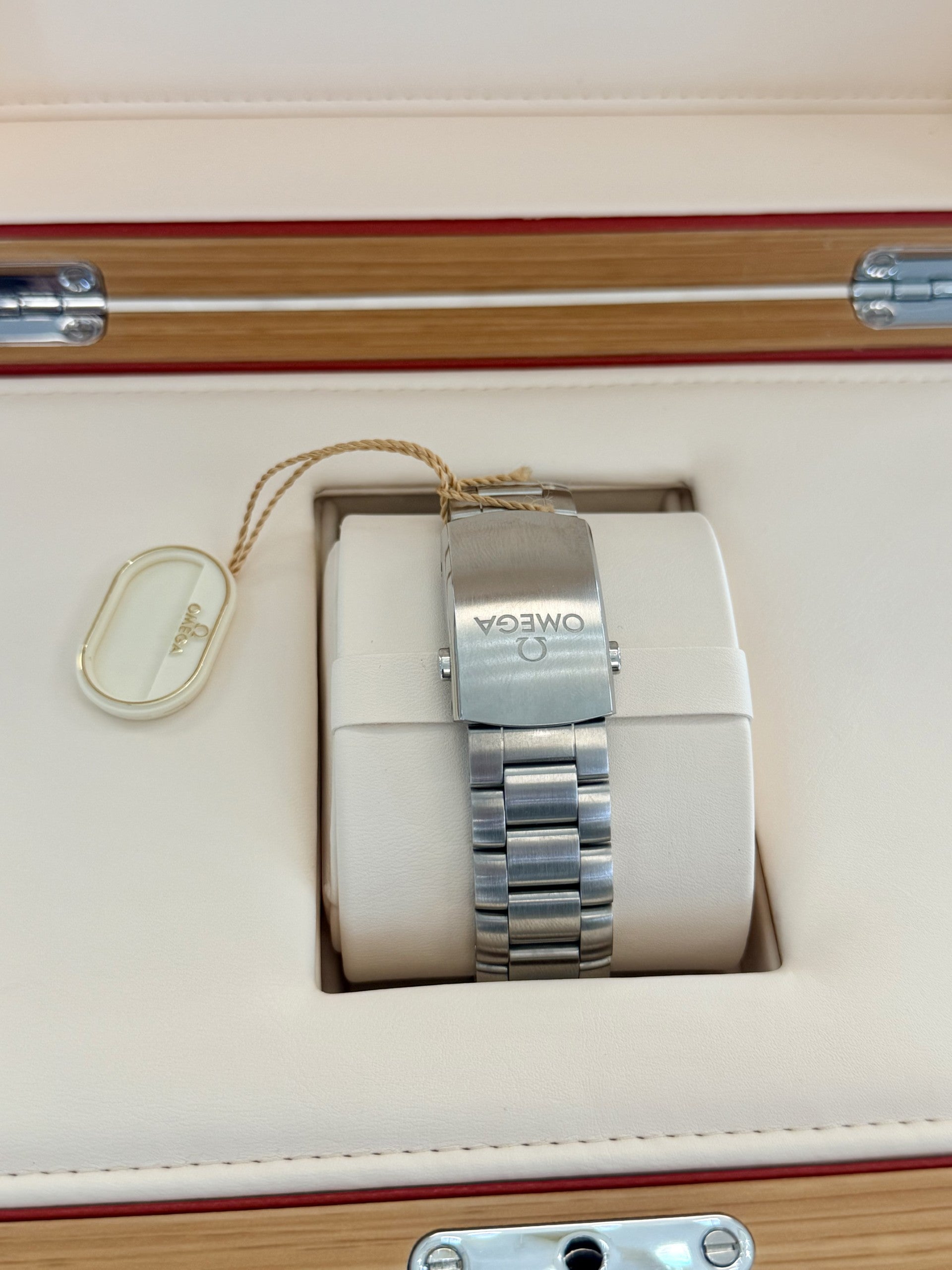 Omega Seamaster Planet Ocean 600M